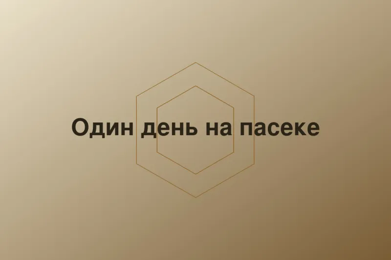 Один день на пасеке
