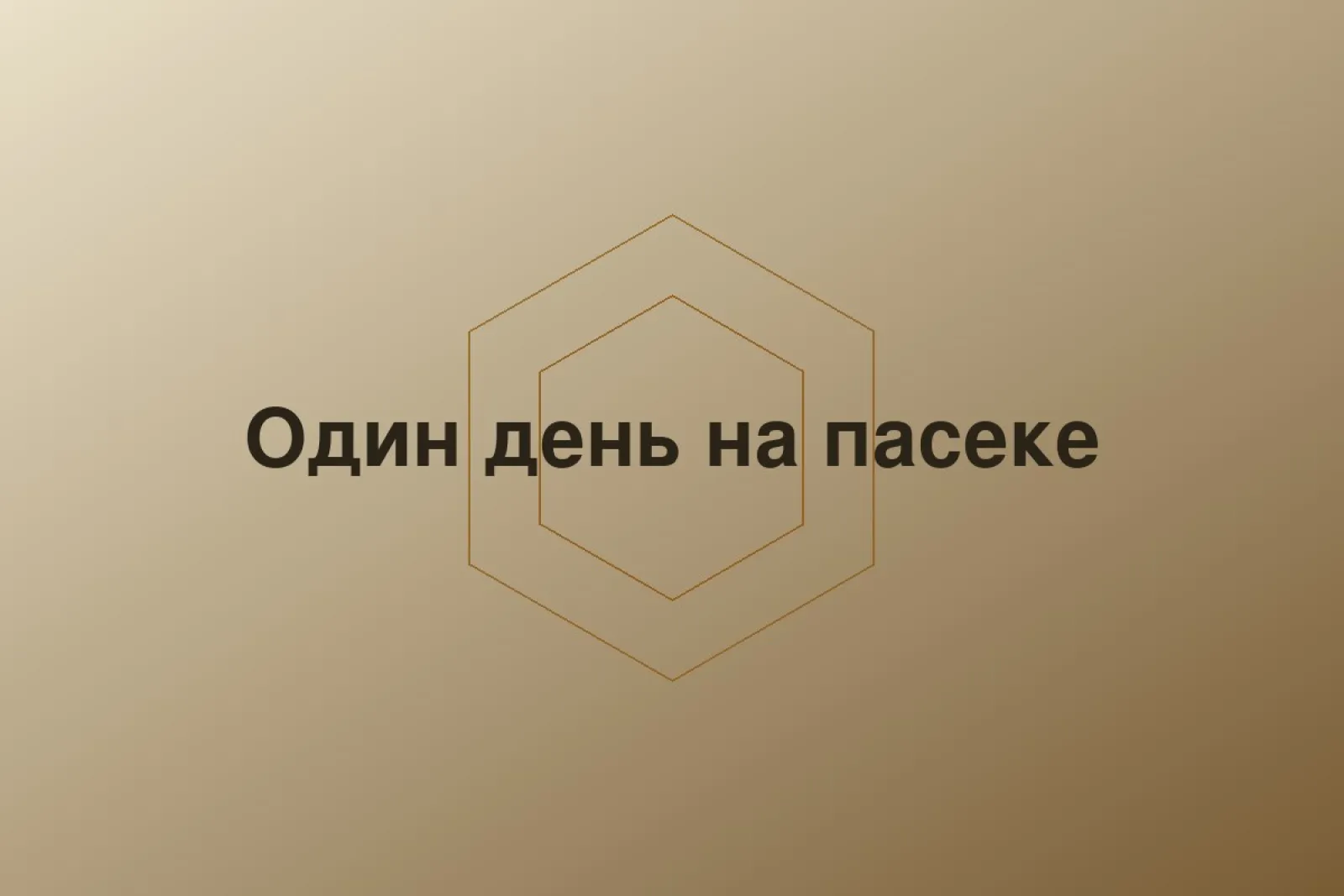 Один день на пасеке