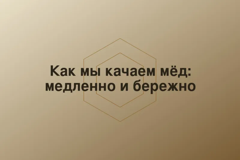 Как мы качаем мёд: медленно и бережно