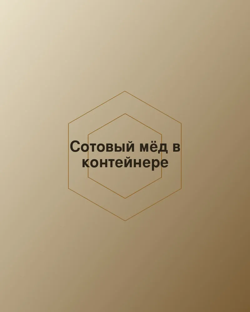 Сотовый мёд в контейнере
